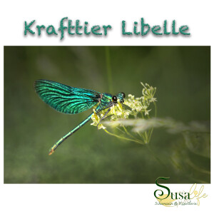 #7 - Krafttier Libelle