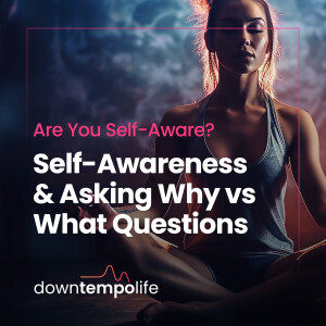 Are You Self-Aware? Asking Why vs What Questions to Find Awareness.
