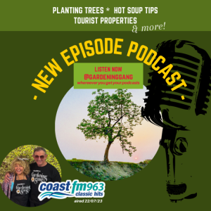 Planting Trees, Native Trees, Hot Soup Tips & more!