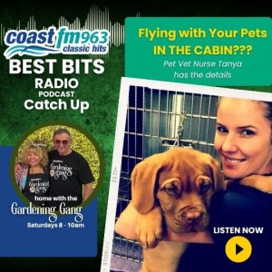 Flying with your Pets IN THE CABIN?