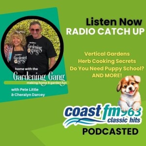 Vertical Gardens, Herb Cooking Secrets, Do You Need Puppy School? AND MORE!