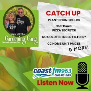 Catch Up: PLANT SPRING BULBS  - PIZZA SECRETS! -  DO GOLDFISH NEED FILTERS? - CC HOME UNIT PRICES & MORE