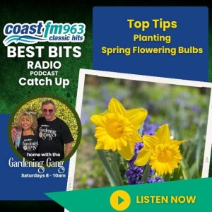 Best Bits - Planting Spring Flowering Bulbs!