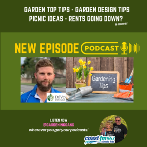 Garden Top Tips - Garden Design Tips - Picnic Ideas - Rents Going Down?