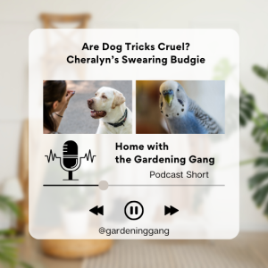 Is Training Your Dog Cruel? Plus - Cheralyn’s Swearing Budgie!