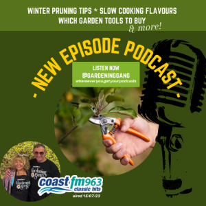 Winter Pruning, Slow Cooking Flavours, Buying Garden Tools, Vet Respect & more!
