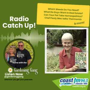 Special Guest - Pat Collins, What Do Guys Want In Real Estate, Chef Pauly Mac v Thermomix, Can Your Pet Take Homeopathics?