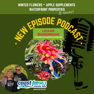 Winter Flowers, Our Floriade Trip! Apple Supplements, Waterfront Properties
