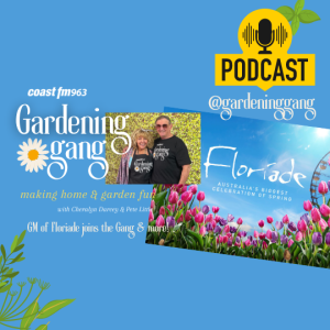 Floriade GM Interview, Spring Bulbs, Interest Rates
