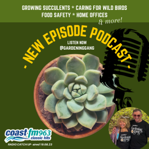 Radio Catch up: GROWING SUCCULENTS * CARING FOR WILD BIRDS FOOD SAFETY * HOME OFFICES