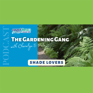 Shade Loving Plants, Mushroom Cure, Edible Food Trail and more!