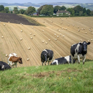 Farming Podcast