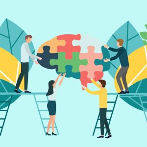 A Conversation on Social Brain Theory and School Size