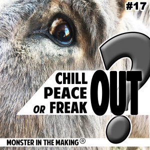 17.1 - Chill Out, Peace Out or Freak Out