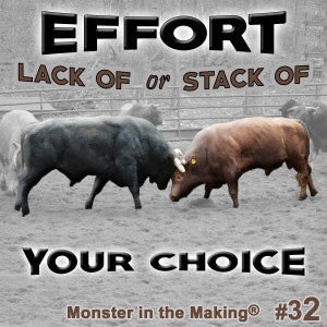 32.1 - Effort - Lack of or Stack of - Your Choice