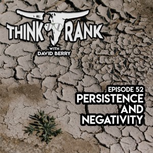 52 - Persistence and Negativity