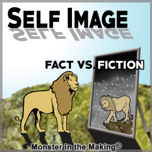 8.1 - Self image - Fact vs. Fiction