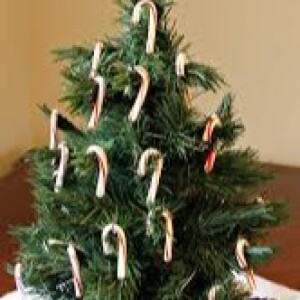 The Candy Cane Tree