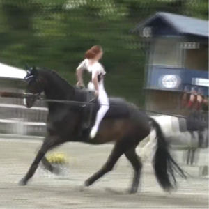 22/10/24 - Amilda Traverso - Presidente FISE Liguria, su Festival degli Sport Equestri