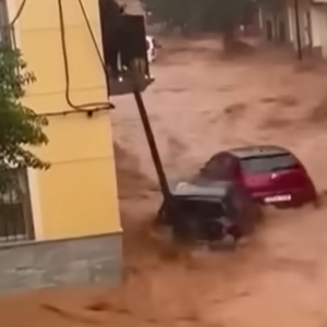 31/10/24 - Stefano Garzelli - Ex ciclista, su alluvione a Valencia