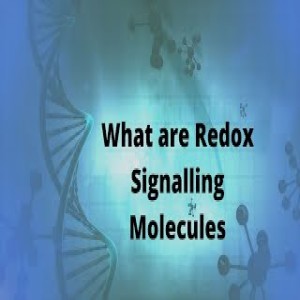 The Power of the Redox Molecule with featured guest Catherine