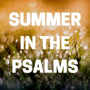 Summer in the Psalms: Psalm 29