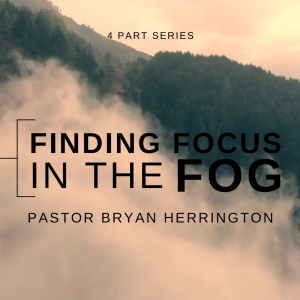 Finding Focus in the Fog PART 2