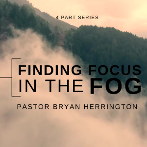 Finding Focus in the Fog PART 1