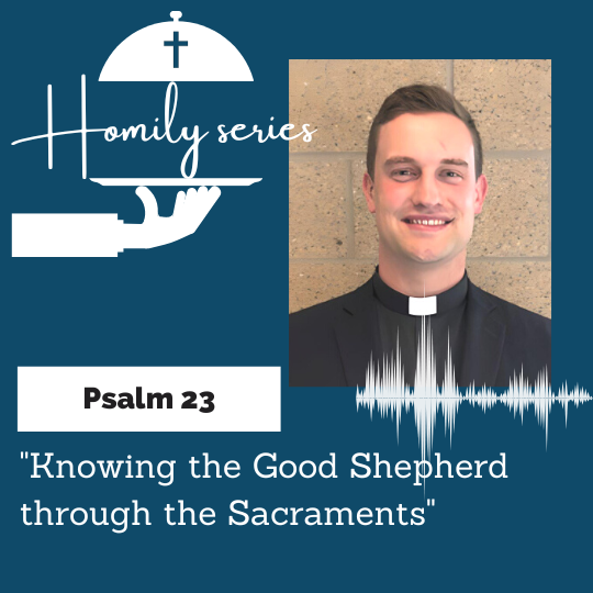 Knowing the Good Shepherd through the Sacraments