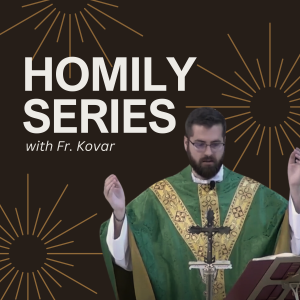 29th Sunday in Ordinary Time Homily