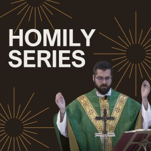 23rd Sunday of Ordinary Time Homily