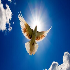 LF172 Gregg Levoy - Vital Signs: The Nature and Nurture of Passion
