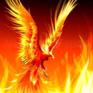LF111 Kingsley Dennis - The Phoenix Generation: A New Era of Connection, Compassion, and Consciousness