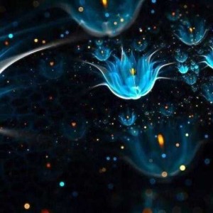 Manifest