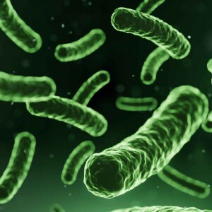 5 Essential Steps of the Probiotic Manufacturing Process Explained