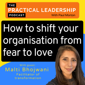 69. How to shift your organisation from fear to love - with Malti Bhojwani