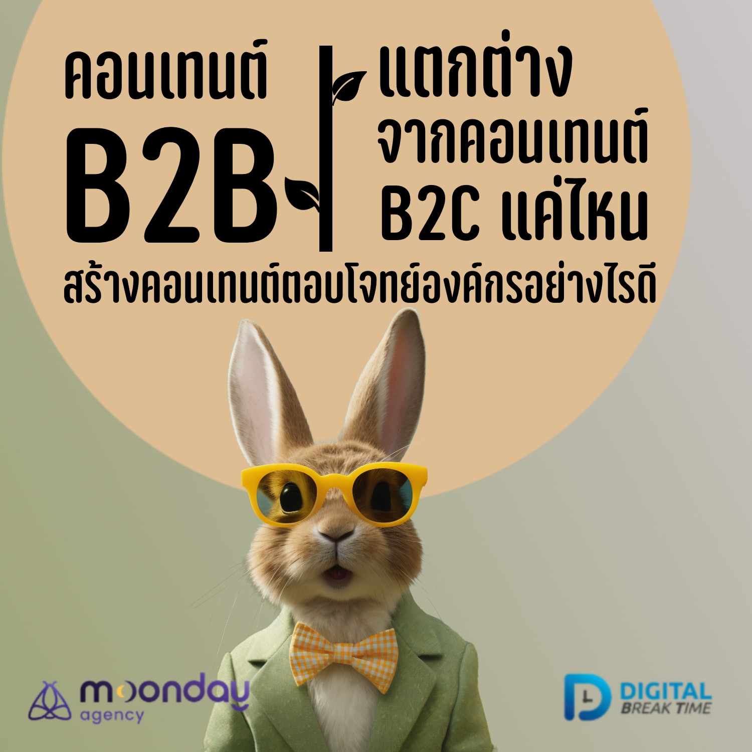 คอนเทนต์ธุรกิจ B2B ต่างกับ B2C อย่างไร? สร้าง Content ที่ตอบโจทย์ธุรกิจองค์กร จะเริ่มอย่างไรดี -DBT167