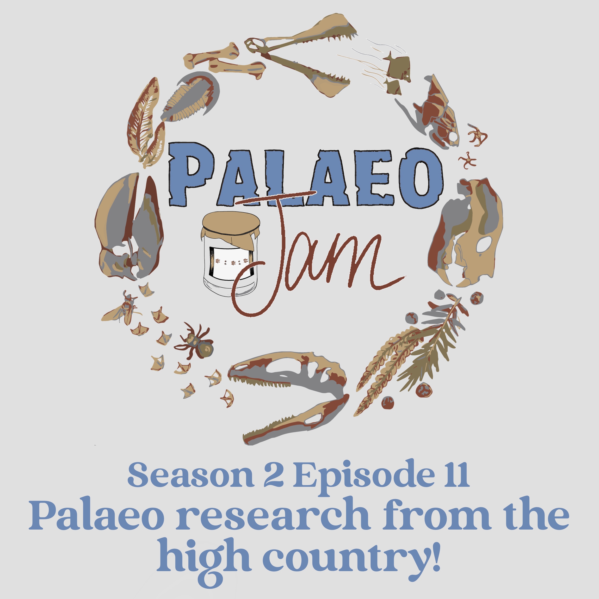 Palaeo Jam