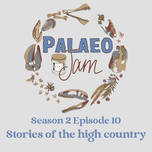 Stories of the high country