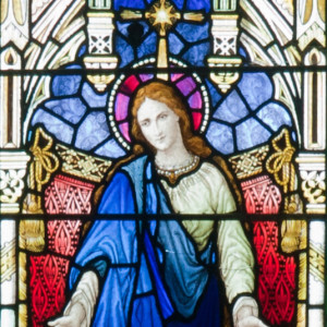 Chapter V of Book VIII