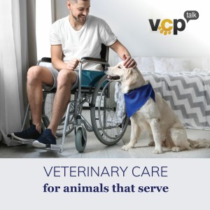 Episode 12 - Philanthropy in Practice: Care Plans for Service Animals