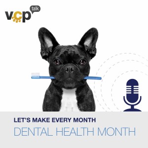 Episode 11 - A New Plan to Improve Dental Health