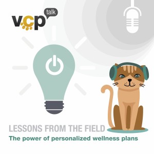Episode 7 - The Strategic Power of Customizable Wellness Plans