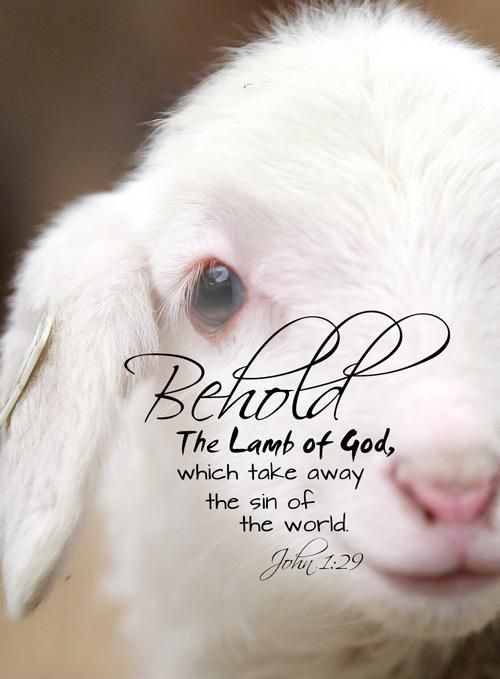 Easter: Behold The Lamb of God!