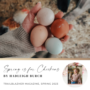 Spring is for Chickens by Hadleigh Burch
