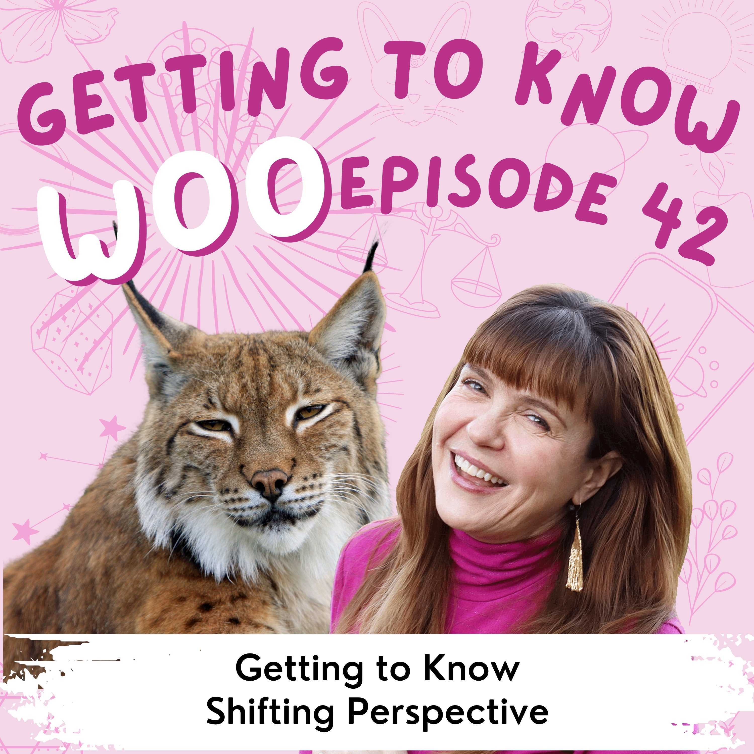 Getting to Know Woo