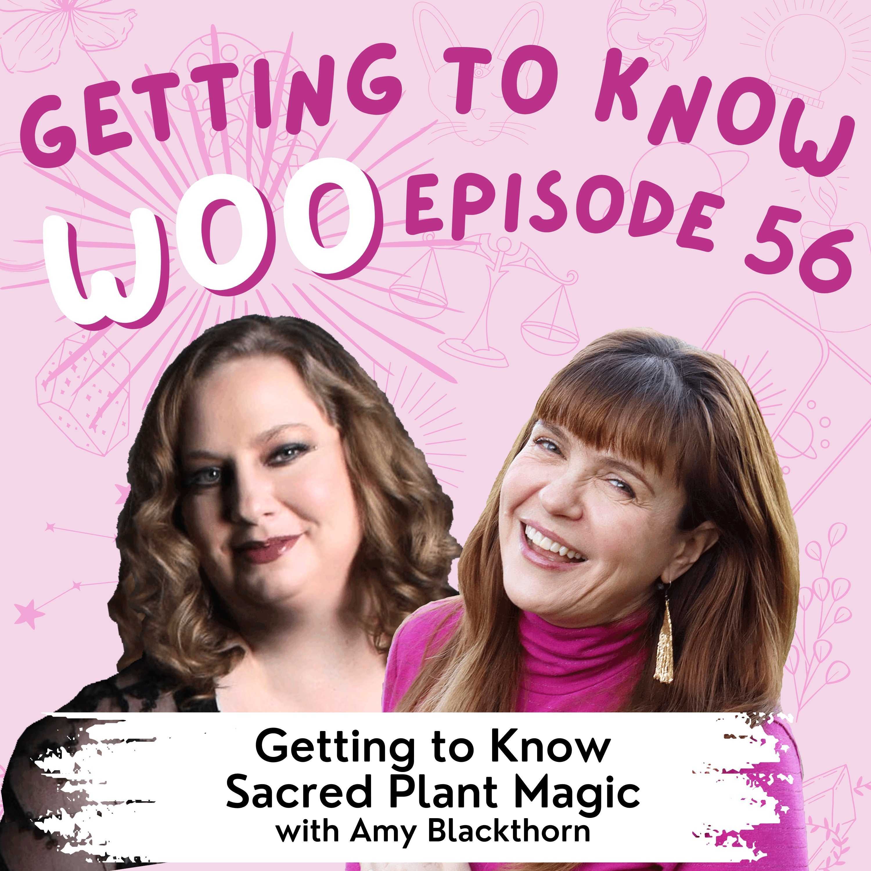 Getting to Know Woo