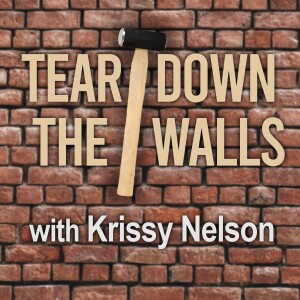 Tear Down The Walls - Krissy Nelson