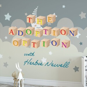The Adoption Option - Herbie Newell