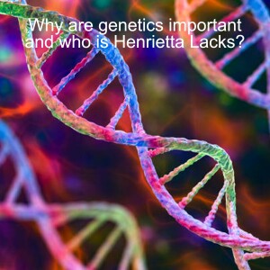 Why are genetics important and who is Henrietta Lacks?